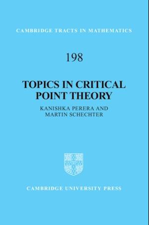 Topics in Critical Point Theory