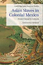 Asian Slaves in Colonial Mexico