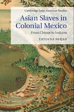 Asian Slaves in Colonial Mexico