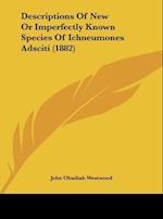 Descriptions Of New Or Imperfectly Known Species Of Ichneumones Adsciti (1882)
