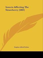 Insects Affecting The Strawberry (1883)