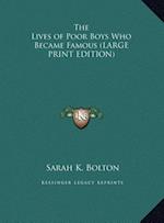 The Lives of Poor Boys Who Became Famous (LARGE PRINT EDITION)