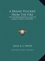 A Brand Plucked From The Fire