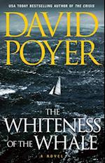 Whiteness of the Whale