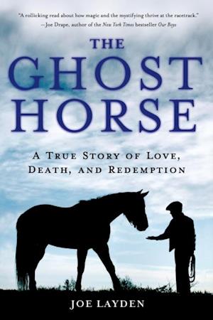 Ghost Horse