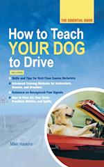 HOW TO TEACH YOUR DOG TO DRIVE