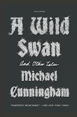 A Wild Swan: And Other Tales