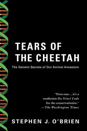 Tears of the Cheetah