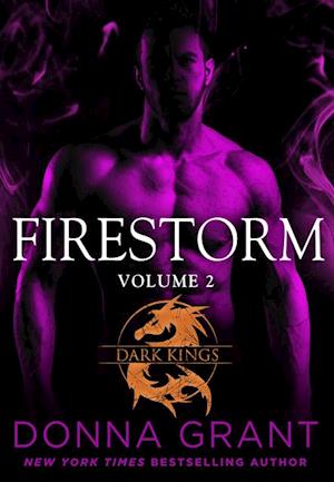 Firestorm: Volume 2