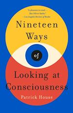 Nineteen Ways of Looking at Consciousness