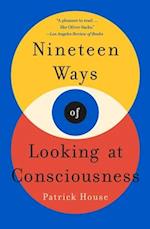 Nineteen Ways of Looking at Consciousness