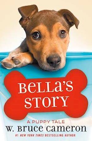 Bella's Story