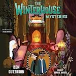 Winterhouse Mysteries