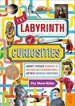 The Labyrinth of Curiosities