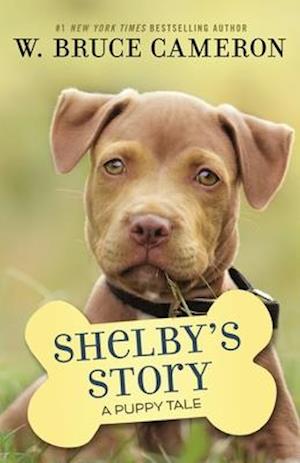 Shelby's Story