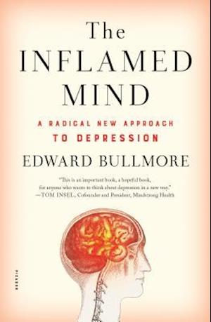 The Inflamed Mind