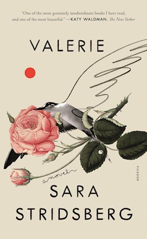 Valerie: Or, the Faculty of Dreams: A Novel