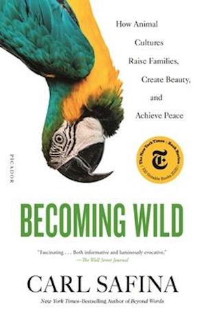 Enhed ihærdige Oversætte Få Becoming Wild af Carl Safina som Paperback bog på engelsk - 9781250787613