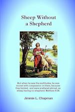 Sheep Without a Shepherd 