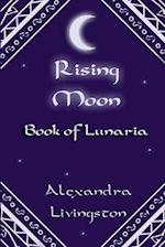 Rising Moon