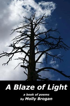 Blaze of Light: A Book of Poems