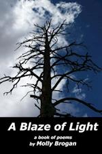 Blaze of Light: A Book of Poems