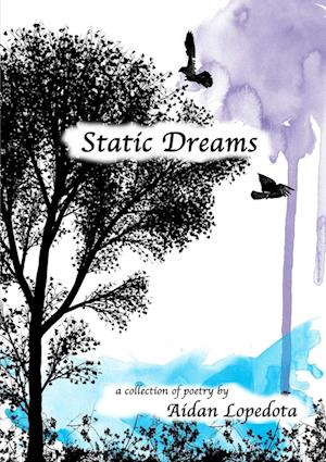 Static Dreams