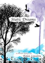 Static Dreams 