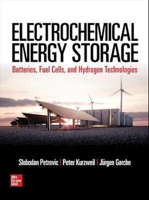 Electrochemical Energy Storage