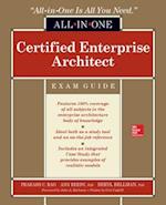 Certified Enterprise Architect All-in-One Exam Guide
