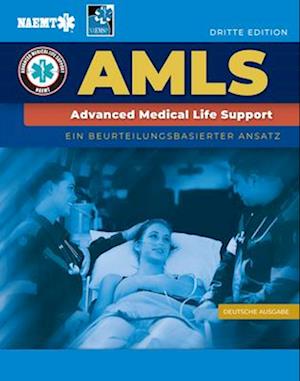 GERMAN AMLS: Ein Beurteilungsbasierter Ansatz