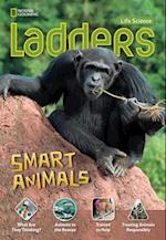 Ladders Science 4: Smart Animals (on-level)