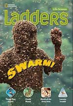 Ladders Science 5: Swarm! (below-level)