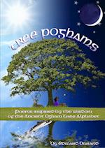 Tree Poghams