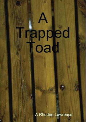 Trapped Toad