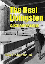 The Real Livingston - A Kaleidoscope