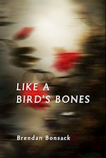 Like a Bird's Bones