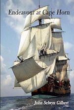 Endeavour at Cape Horn