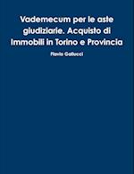 Vademecum Per Le Aste Giudiziarie. Acquisto Di Immobili in Torino E Provincia