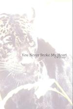You Never Broke My Heart