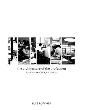 Architecture of the Profession