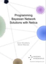 Programming Bayesian Network Solutions with Netica