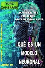 QUÉ ES UN MODELO NEURONAL