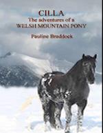 Cilla: The Adventures of a Welsh Mountain Pony