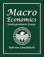 Macroeconomics Undergraduate Essays