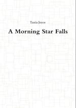 Morning Star Falls