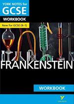 Frankenstein: York Notes for GCSE Workbook the ideal way to catch up, test your knowledge and feel ready for and 2023 and 2024 exams and assessments