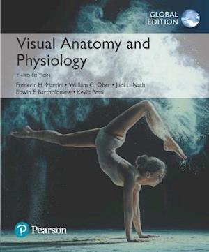 Visual Anatomy & Physiology, Global Edition + Mastering A&P with Pearson eText