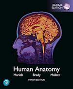 Human Anatomy, Global Edition