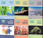 Science Bug International Year 1 Workbook Pack
